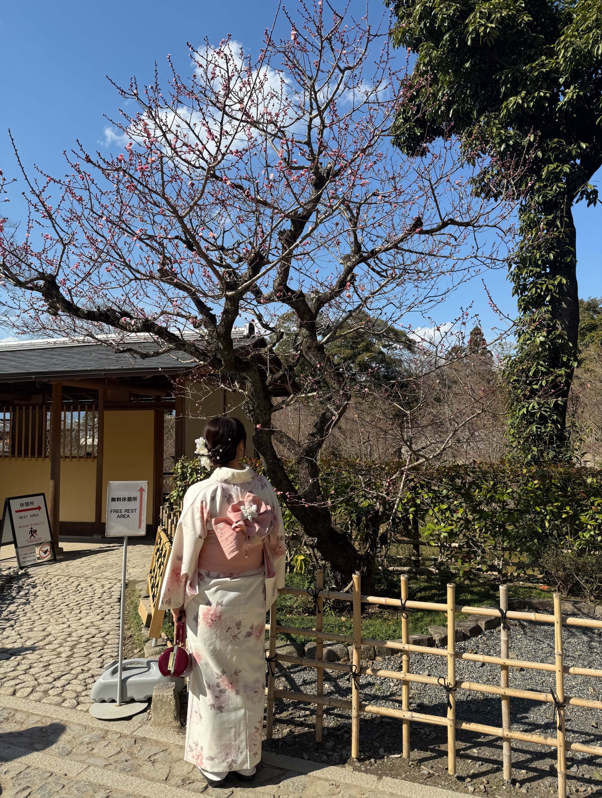 Sehari Menjelajah Kyoto – One Day Trip
