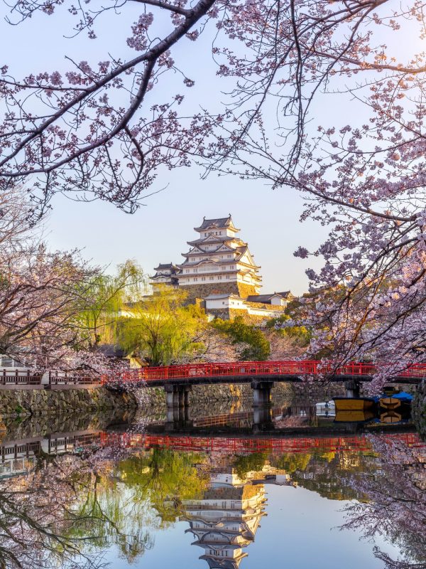 kirinjapanai kirinjapan ai